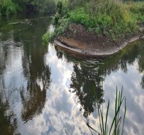 Charvil Backwater - September 2021
